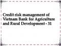 Credit risk management of Vietnam Bank for Agriculture and Rural Development - 31