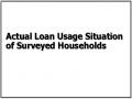 Actual Loan Usage Situation of Surveyed Households