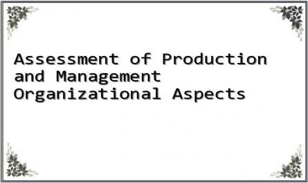 Assessment of Production and Management Organizational Aspects
