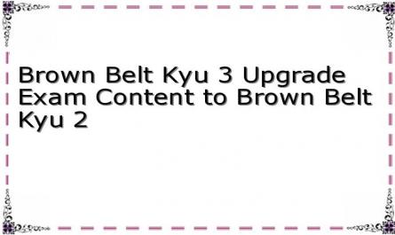 Brown Belt Kyu 3 Upgrade Exam Content to Brown Belt Kyu 2