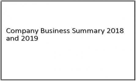 Company Business Summary 2018 and 2019