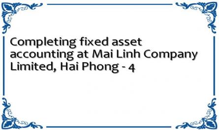 Completing fixed asset accounting at Mai Linh Company Limited, Hai Phong - 4