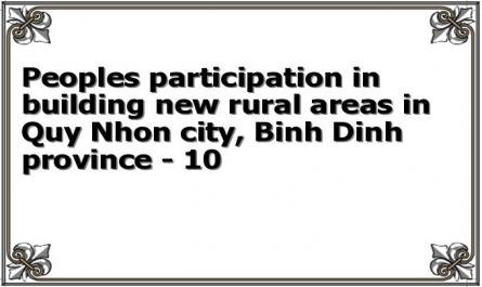 Peoples participation in building new rural areas in Quy Nhon city, Binh Dinh province - 10