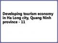 Developing tourism economy in Ha Long city, Quang Ninh province - 11
