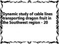 Dynamic study of cable lines transporting dragon fruit in the Southwest region - 20
