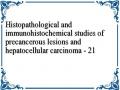 Histopathological and immunohistochemical studies of precancerous lesions and hepatocellular carcinoma - 21
