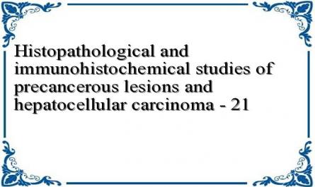 Histopathological and immunohistochemical studies of precancerous lesions and hepatocellular carcinoma - 21