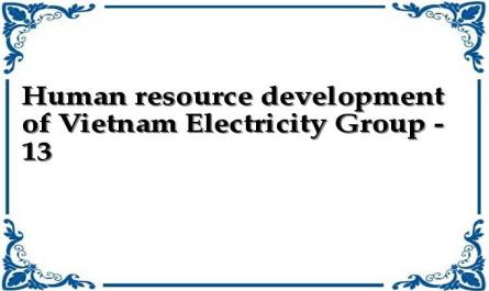Human resource development of Vietnam Electricity Group - 13