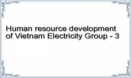 Human resource development of Vietnam Electricity Group - 3