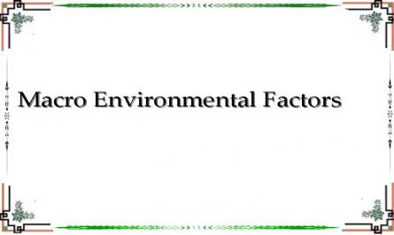 Macro Environmental Factors