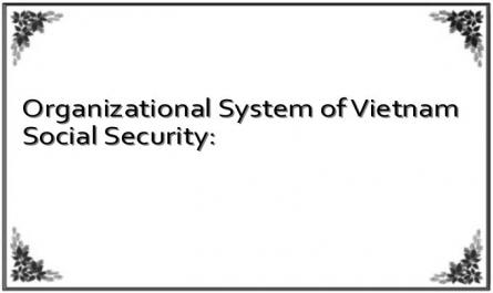 Organizational System of Vietnam Social Security: