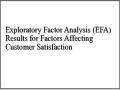 Exploratory Factor Analysis (EFA) Results for Factors Affecting Customer Satisfaction