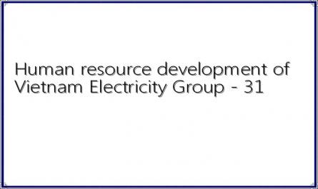 Human resource development of Vietnam Electricity Group - 31