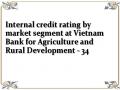 Internal credit rating by market segment at Vietnam Bank for Agriculture and Rural Development - 34