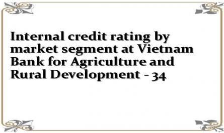 Internal credit rating by market segment at Vietnam Bank for Agriculture and Rural Development - 34