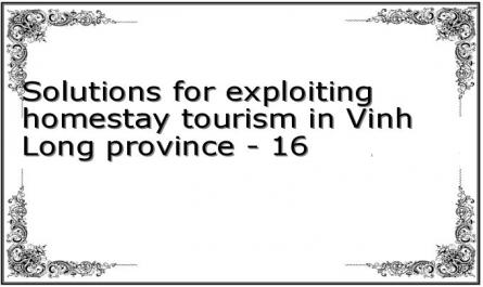 Solutions for exploiting homestay tourism in Vinh Long province - 16