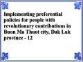 Implementing preferential policies for people with revolutionary contributions in Buon Ma Thuot city, Dak Lak province - 12