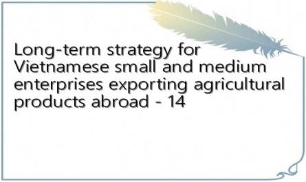 Long-term strategy for Vietnamese small and medium enterprises exporting agricultural products abroad - 14