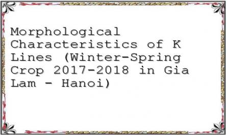 Morphological Characteristics of K Lines (Winter-Spring Crop 2017-2018 in Gia Lam - Hanoi)