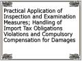 Practical Application of Inspection and Examination Measures; Handling of Import Tax Obligations Violations and Compulsory Compensation for Damages