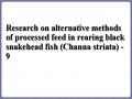 Research on alternative methods of processed feed in rearing black snakehead fish (Channa striata) - 9