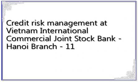 Credit risk management at Vietnam International Commercial Joint Stock Bank - Hanoi Branch - 11