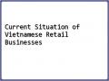Current Situation of Vietnamese Retail Businesses