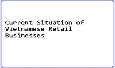 Current Situation of Vietnamese Retail Businesses