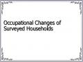 Occupational Changes of Surveyed Households