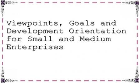 Viewpoints, Goals and Development Orientation for Small and Medium Enterprises