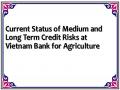 Current Status of Medium and Long Term Credit Risks at Vietnam Bank for Agriculture