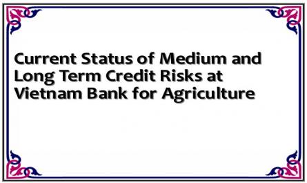 Current Status of Medium and Long Term Credit Risks at Vietnam Bank for Agriculture