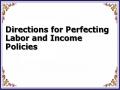 Directions for Perfecting Labor and Income Policies