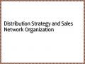 Distribution Strategy and Sales Network Organization