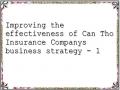 Improving the effectiveness of Can Tho Insurance Companys business strategy - 1