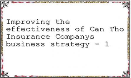 Improving the effectiveness of Can Tho Insurance Companys business strategy - 1