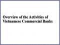 Overview of the Activities of Vietnamese Commercial Banks