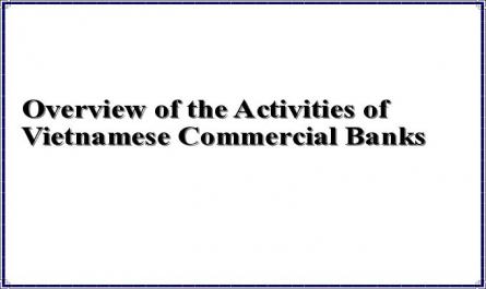 Overview of the Activities of Vietnamese Commercial Banks