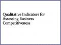 Qualitative Indicators for Assessing Business Competitiveness