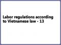 Labor regulations according to Vietnamese law - 13