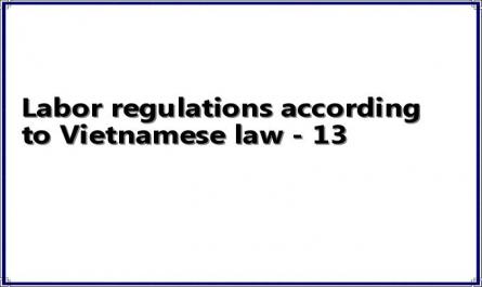 Labor regulations according to Vietnamese law - 13
