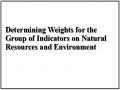Determining Weights for the Group of Indicators on Natural Resources and Environment