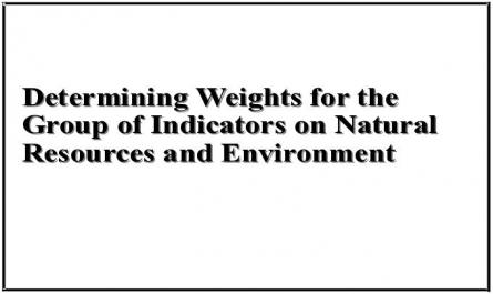 Determining Weights for the Group of Indicators on Natural Resources and Environment