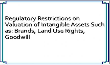 Regulatory Restrictions on Valuation of Intangible Assets Such as: Brands, Land Use Rights, Goodwill