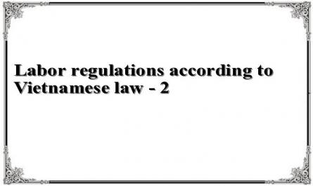 Labor regulations according to Vietnamese law - 2