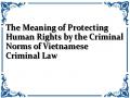 The Meaning of Protecting Human Rights by the Criminal Norms of Vietnamese Criminal Law