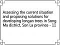 Assessing the current situation and proposing solutions for developing longan trees in Song Ma district, Son La province - 11
