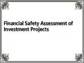 Financial Safety Assessment of Investment Projects