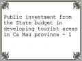 Public investment from the State budget in developing tourist areas in Ca Mau province - 1