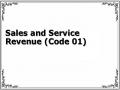 Sales and Service Revenue (Code 01)